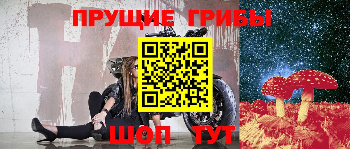 Галлюциногенные грибы GOLDEN TEACHER  Вход с VPN  Лесозаводск  Галлюциногенные грибы Cubensis 